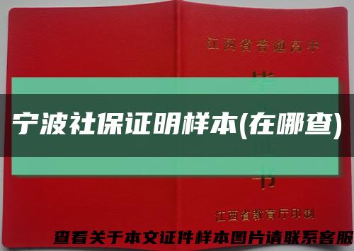 宁波社保证明样本(在哪查)缩略图