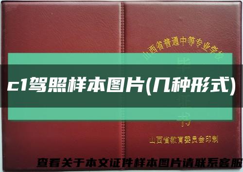 c1驾照样本图片(几种形式)缩略图
