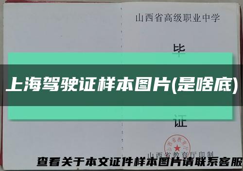 上海驾驶证样本图片(是啥底)缩略图