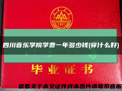 四川音乐学院学费一年多少钱(穿什么好)缩略图