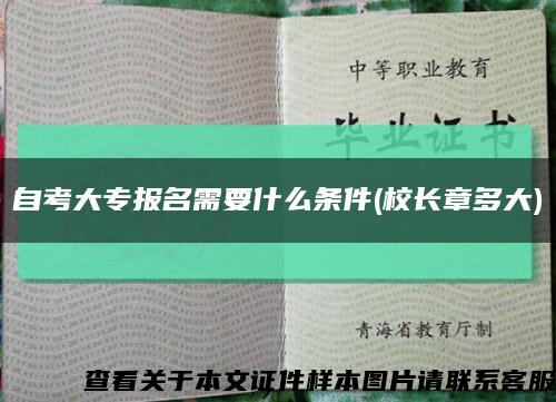 自考大专报名需要什么条件(校长章多大)缩略图