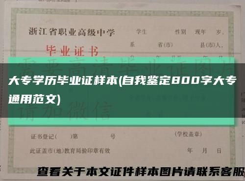 大专学历毕业证样本(自我鉴定800字大专通用范文)缩略图