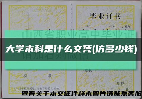 大学本科是什么文凭(仿多少钱)缩略图