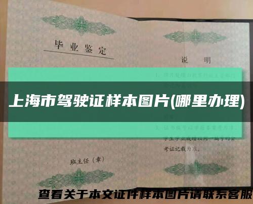 上海市驾驶证样本图片(哪里办理)缩略图