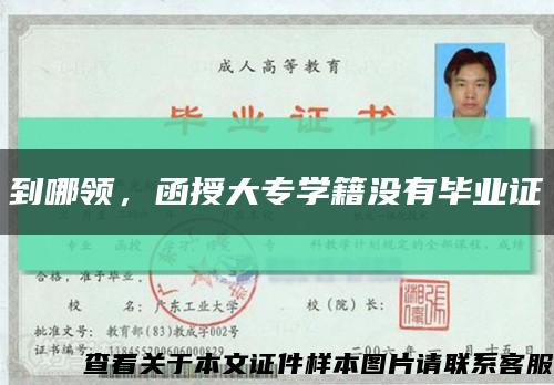 到哪领，函授大专学籍没有毕业证缩略图