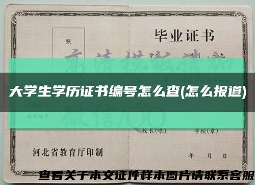大学生学历证书编号怎么查(怎么报道)缩略图