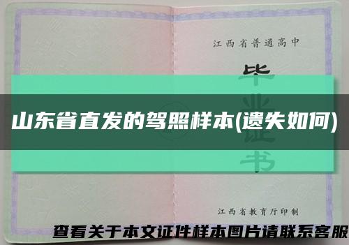 山东省直发的驾照样本(遗失如何)缩略图
