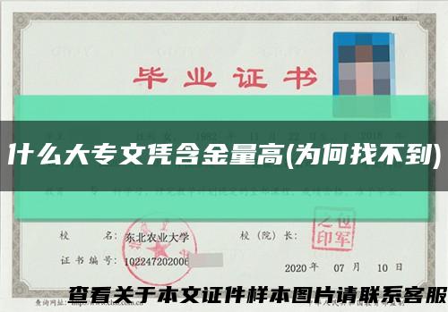 什么大专文凭含金量高(为何找不到)缩略图