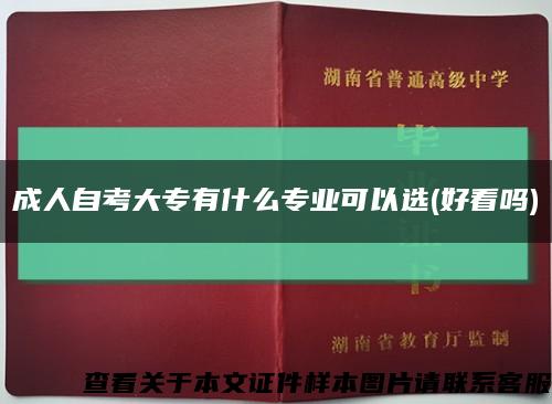 成人自考大专有什么专业可以选(好看吗)缩略图