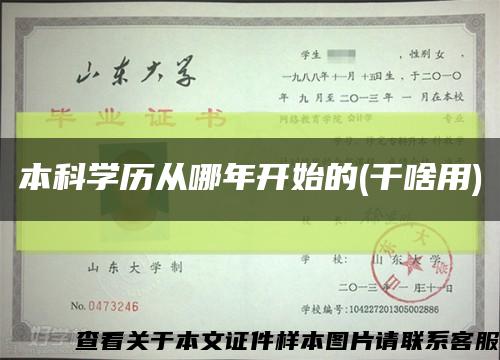 本科学历从哪年开始的(干啥用)缩略图