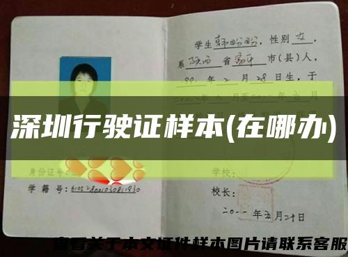 深圳行驶证样本(在哪办)缩略图