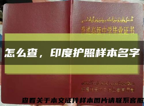怎么查，印度护照样本名字缩略图