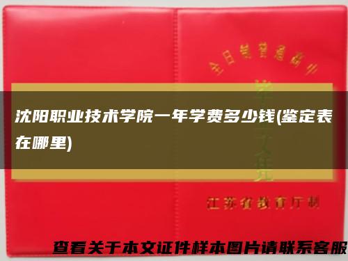 沈阳职业技术学院一年学费多少钱(鉴定表在哪里)缩略图