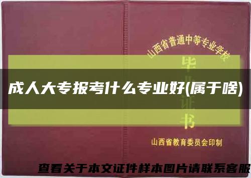成人大专报考什么专业好(属于啥)缩略图