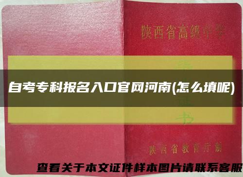 自考专科报名入口官网河南(怎么填呢)缩略图