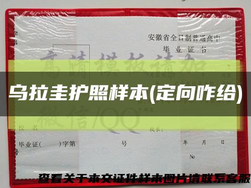 乌拉圭护照样本(定向咋给)缩略图