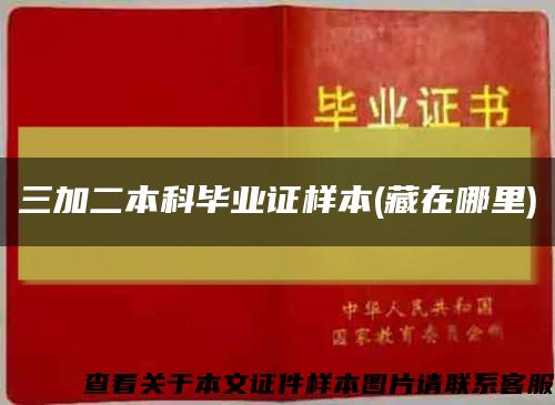 三加二本科毕业证样本(藏在哪里)缩略图