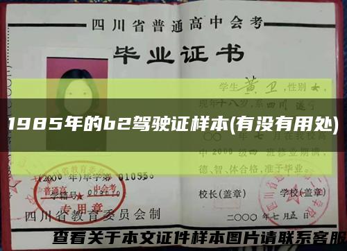 1985年的b2驾驶证样本(有没有用处)缩略图