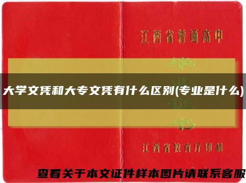 大学文凭和大专文凭有什么区别(专业是什么)缩略图