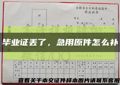 毕业证丢了，急用原件怎么补缩略图