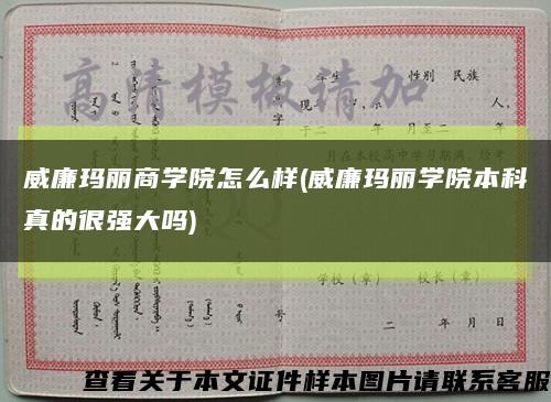 威廉玛丽商学院怎么样(威廉玛丽学院本科真的很强大吗)缩略图