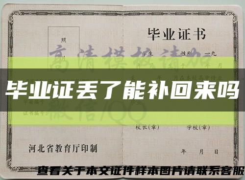 毕业证丢了能补回来吗缩略图