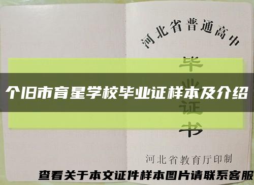 个旧市育星学校毕业证样本及介绍缩略图