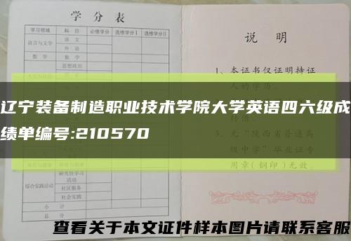 辽宁装备制造职业技术学院大学英语四六级成绩单编号:210570缩略图