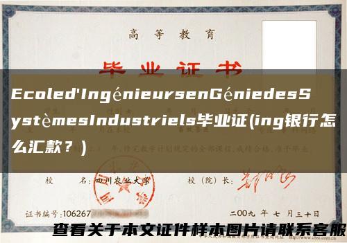 Ecoled'IngénieursenGéniedesSystèmesIndustriels毕业证(ing银行怎么汇款？)缩略图