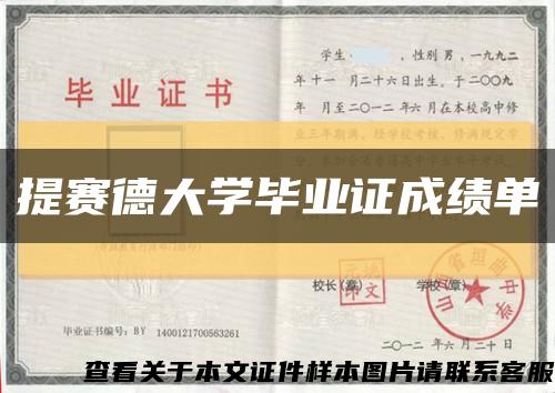 提赛德大学毕业证成绩单缩略图