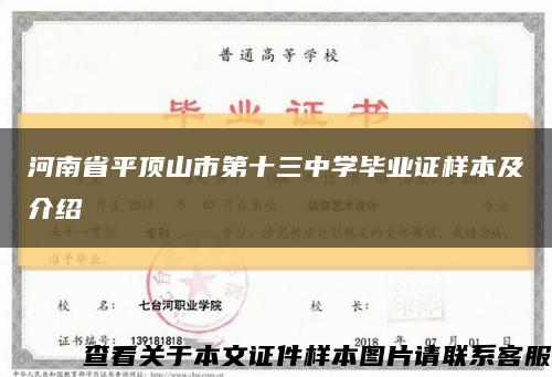 河南省平顶山市第十三中学毕业证样本及介绍缩略图