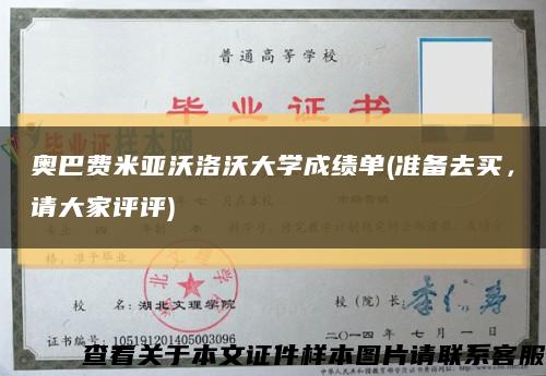 奥巴费米亚沃洛沃大学成绩单(准备去买，请大家评评)缩略图