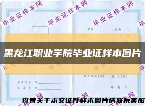 黑龙江职业学院毕业证样本图片缩略图