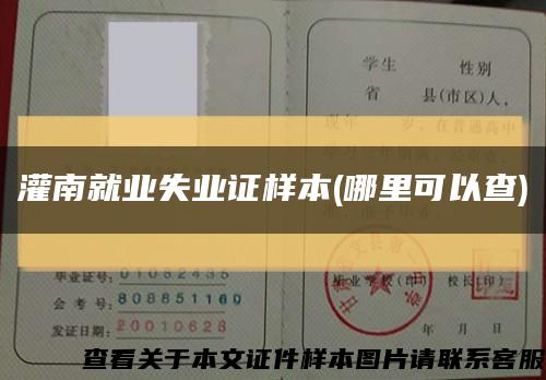 灌南就业失业证样本(哪里可以查)缩略图
