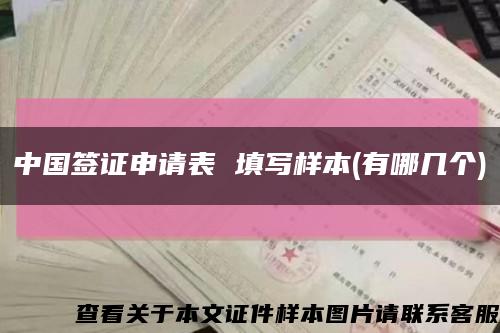中国签证申请表 填写样本(有哪几个)缩略图
