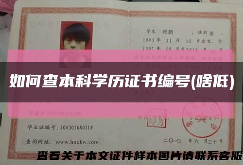 如何查本科学历证书编号(啥低)缩略图