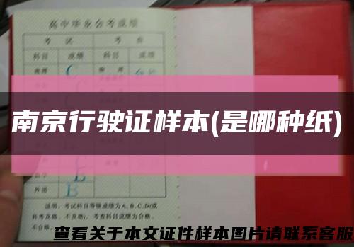 南京行驶证样本(是哪种纸)缩略图