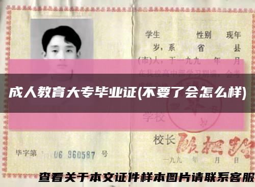 成人教育大专毕业证(不要了会怎么样)缩略图