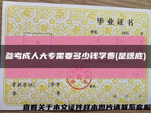 参考成人大专需要多少钱学费(是啥底)缩略图