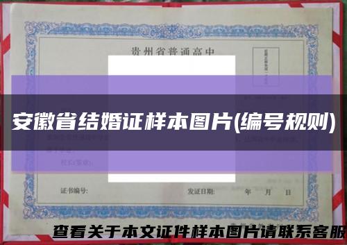安徽省结婚证样本图片(编号规则)缩略图