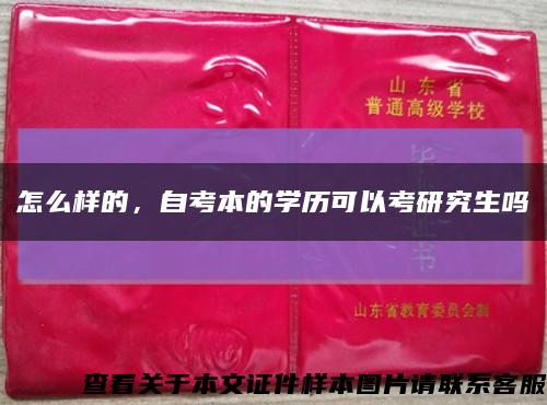 怎么样的，自考本的学历可以考研究生吗缩略图