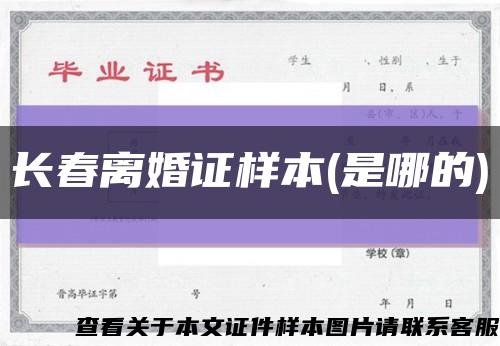 长春离婚证样本(是哪的)缩略图