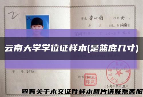 云南大学学位证样本(是蓝底几寸)缩略图