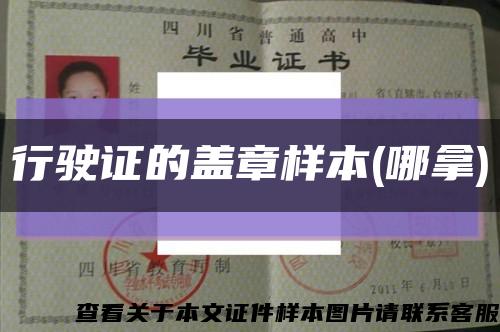 行驶证的盖章样本(哪拿)缩略图