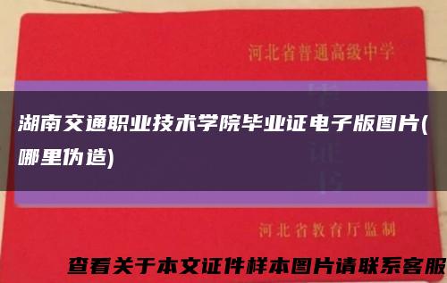湖南交通职业技术学院毕业证电子版图片(哪里伪造)缩略图