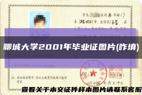 聊城大学2001年毕业证图片(咋填)缩略图