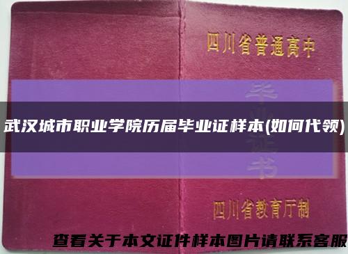 武汉城市职业学院历届毕业证样本(如何代领)缩略图