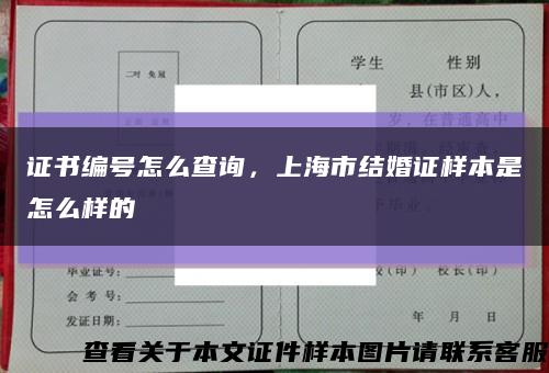 证书编号怎么查询，上海市结婚证样本是怎么样的缩略图