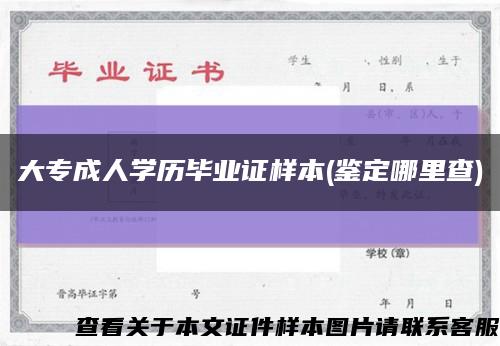 大专成人学历毕业证样本(鉴定哪里查)缩略图