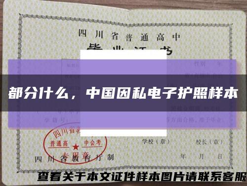 都分什么，中国因私电子护照样本缩略图
